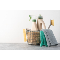 Cleaning Products / Gloves